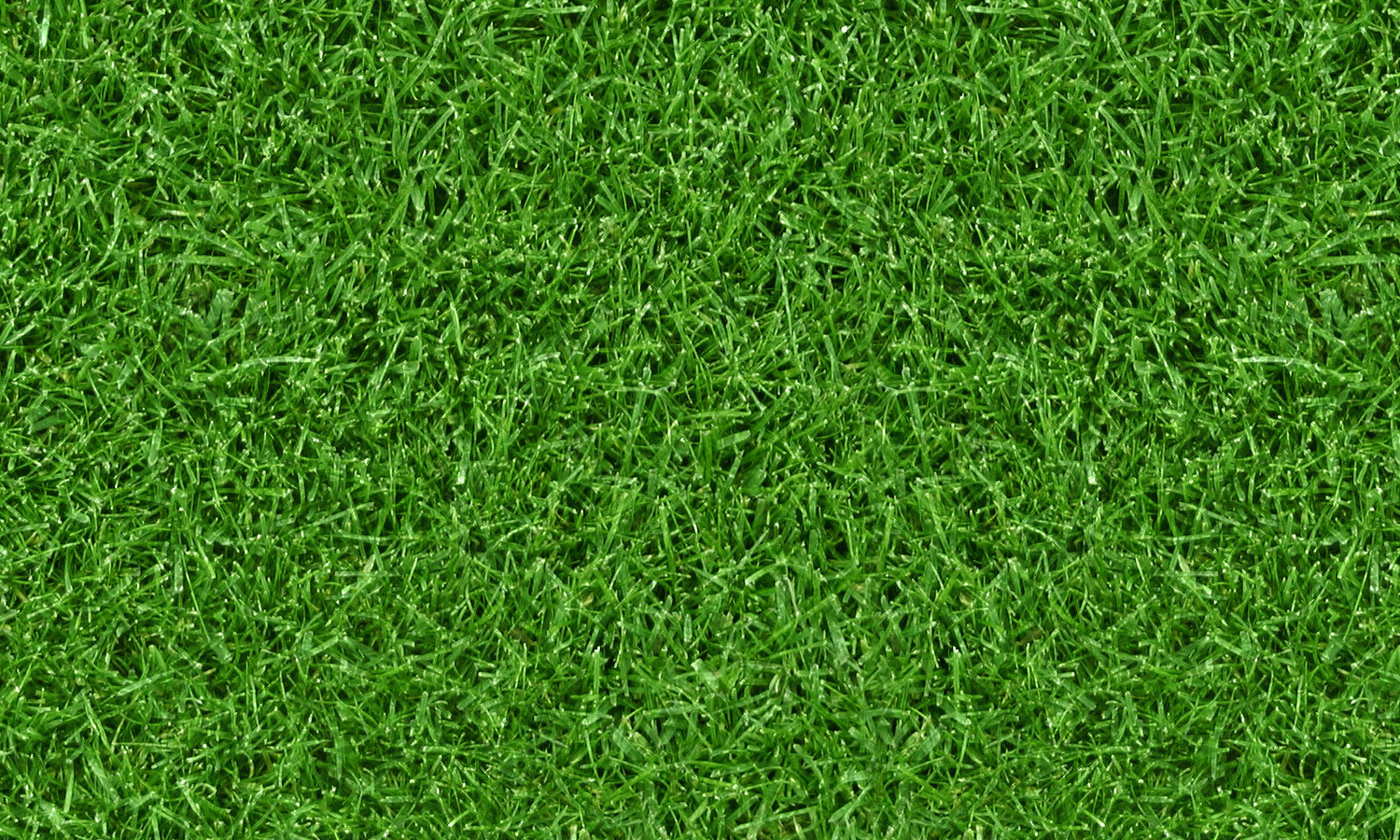 gräsbakgrund